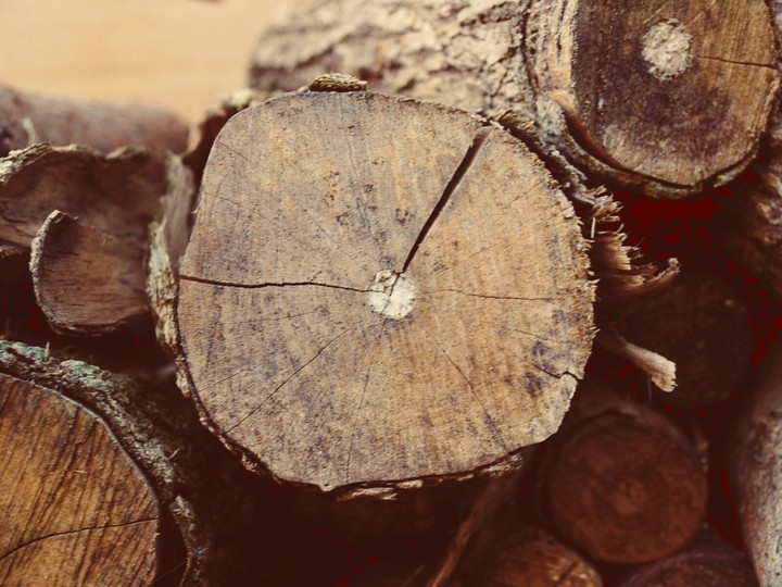 Holz