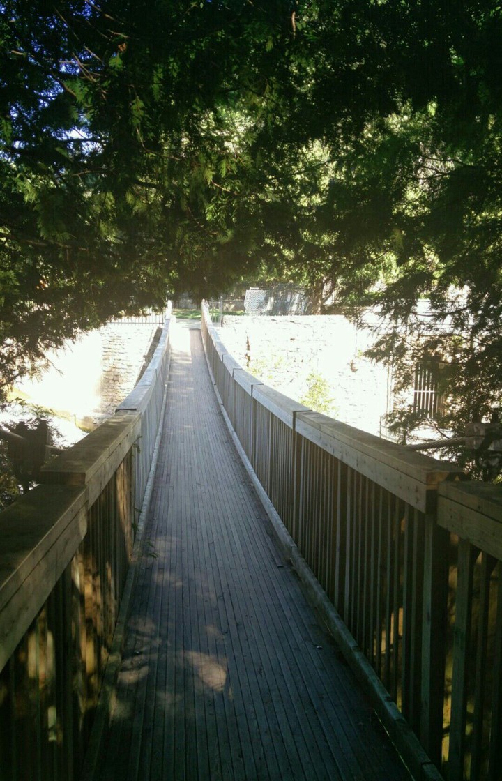 the swinging bridge