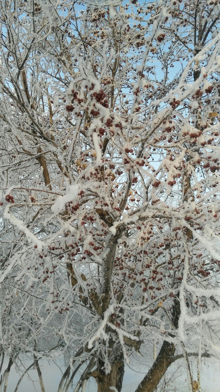winter