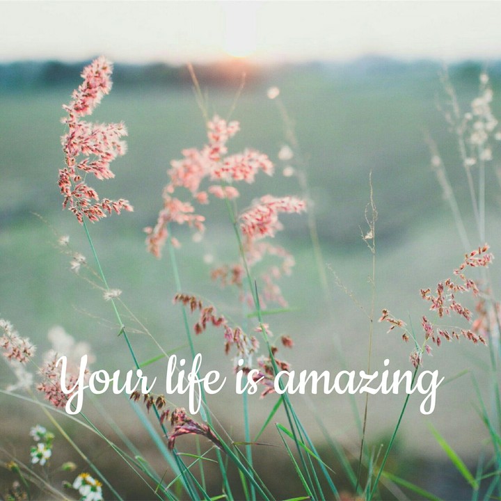 Your life is amazing
