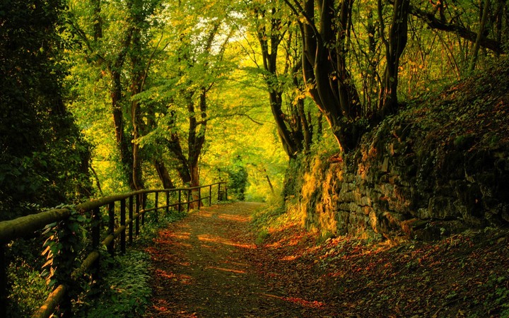 the beauty of nature