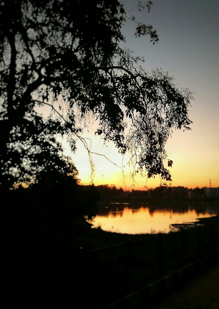 nature love
