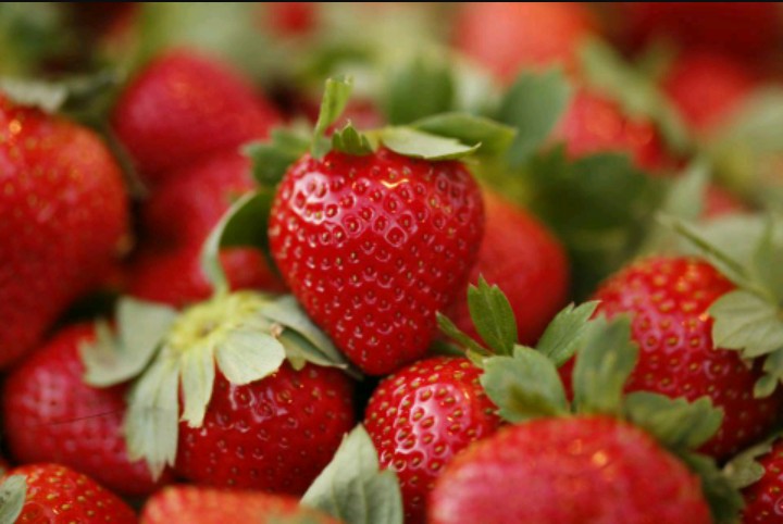 Frutilla, Aregua