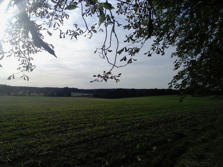 Sunny day