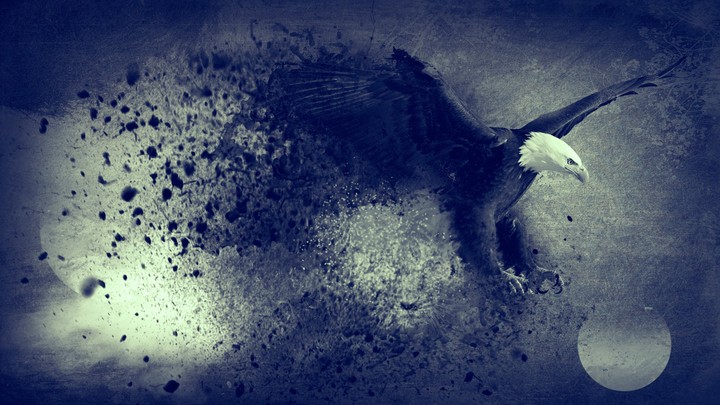 eagle