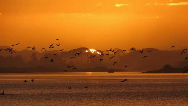 Neuseeland Sonnenuntergang