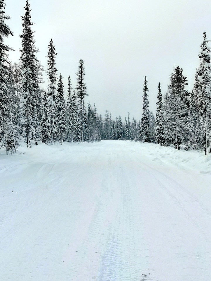 ❄️❄️❄️