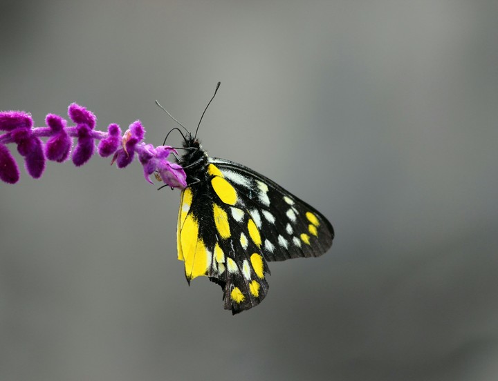 Beautiful Nature