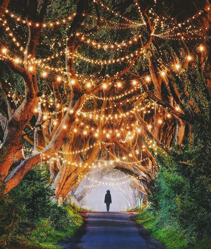 Life Full of Adventure