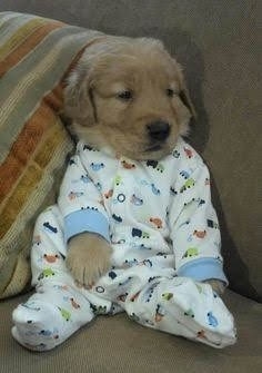 SWEET DREAMS?????