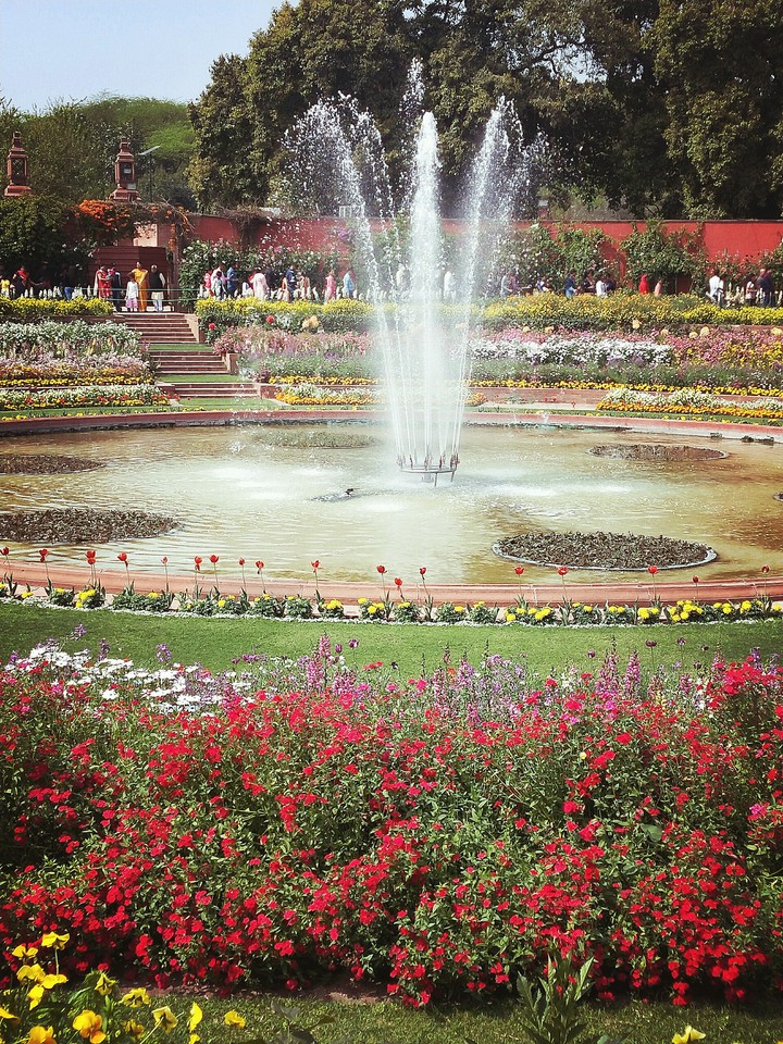 mugal garden india.