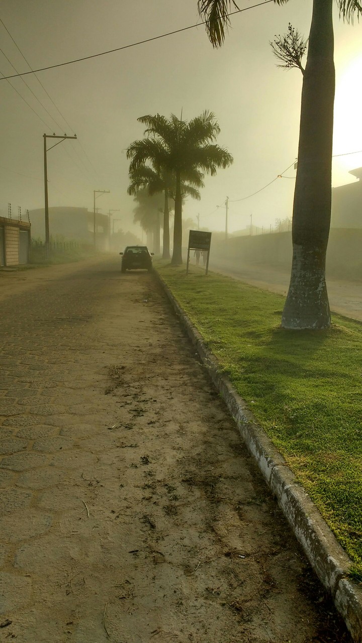 Mist