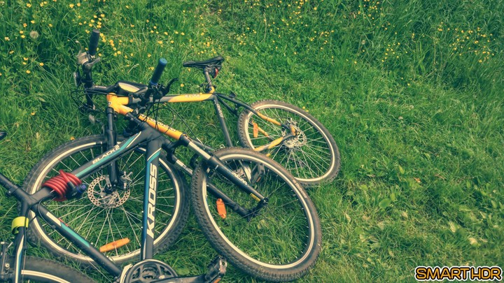 bicycle