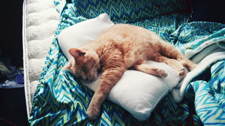 Bubbles lounging