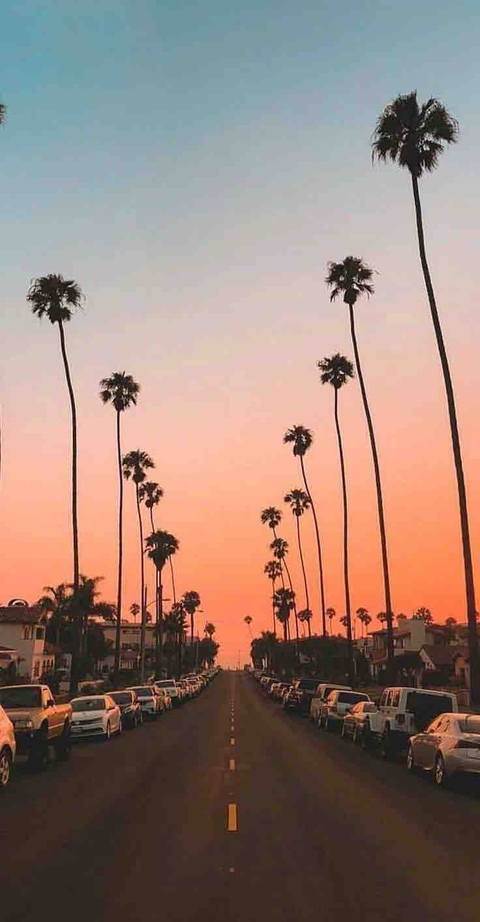 The Way