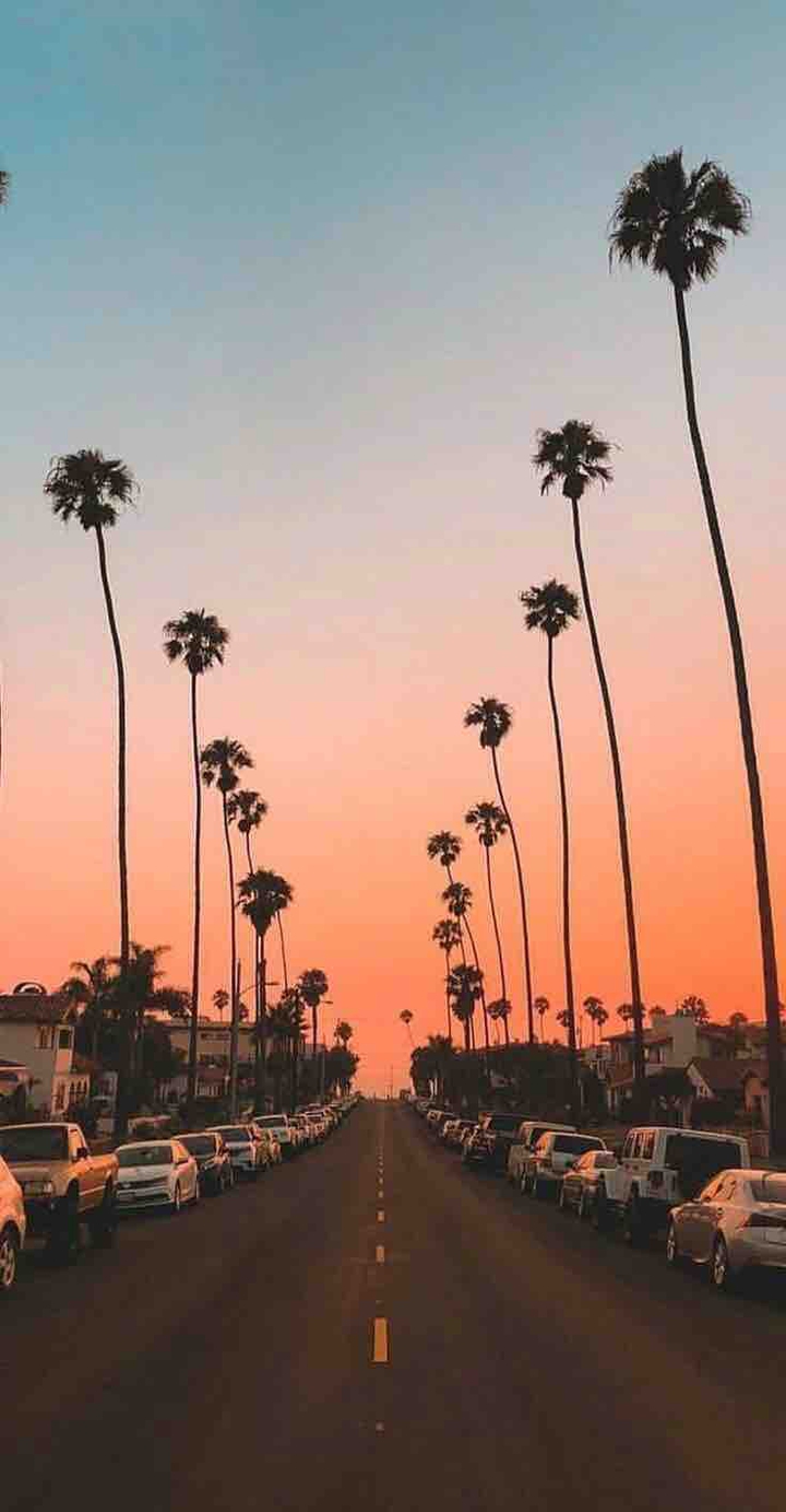 The Way