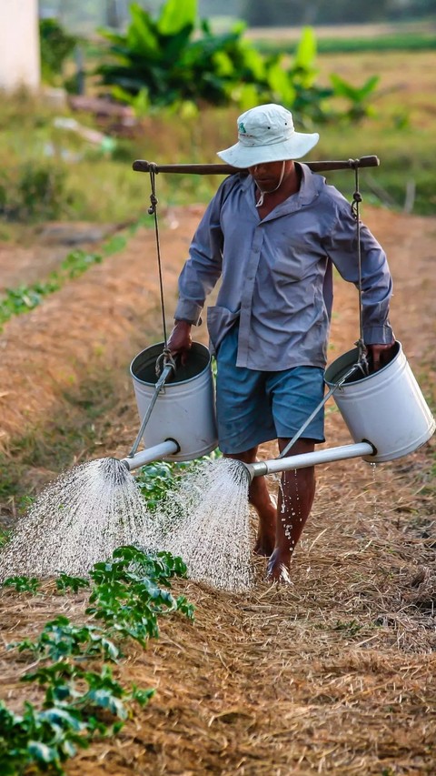 farmer