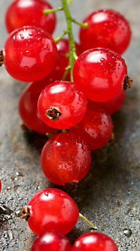 fruit picture