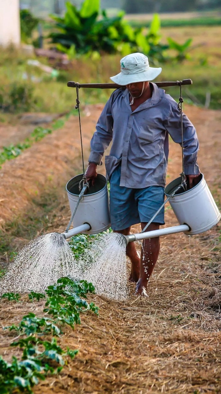 farmer
