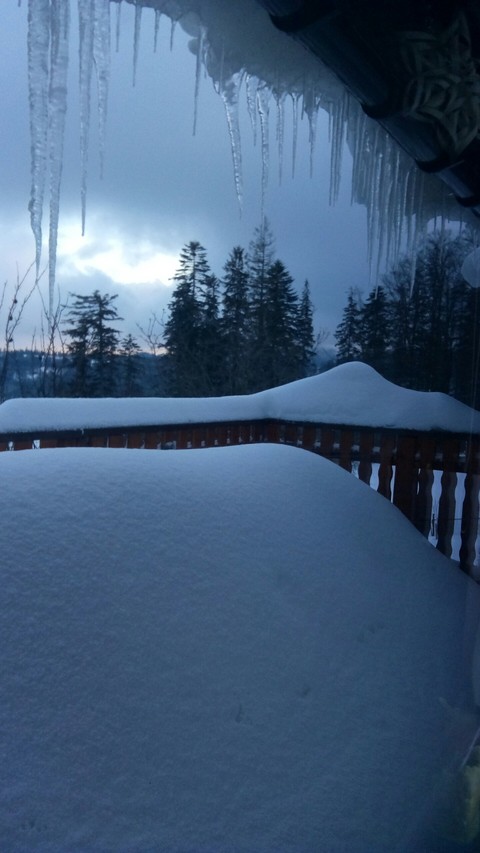 Zima Winter
