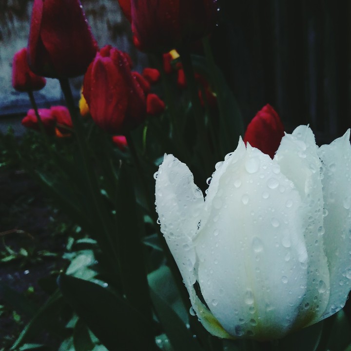 rain day