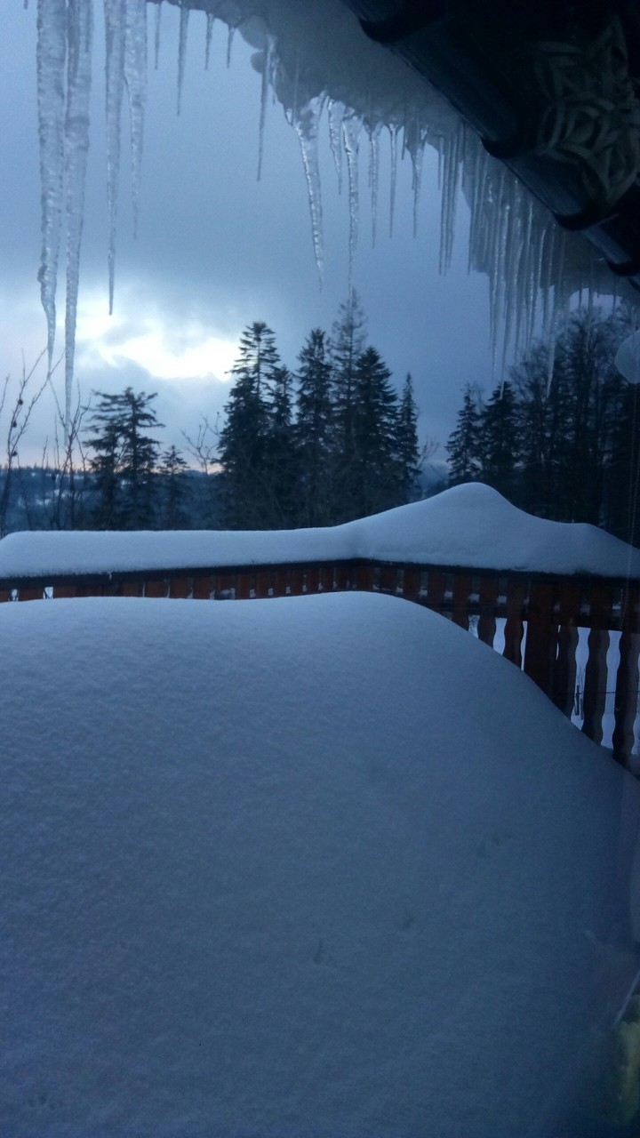 Zima Winter