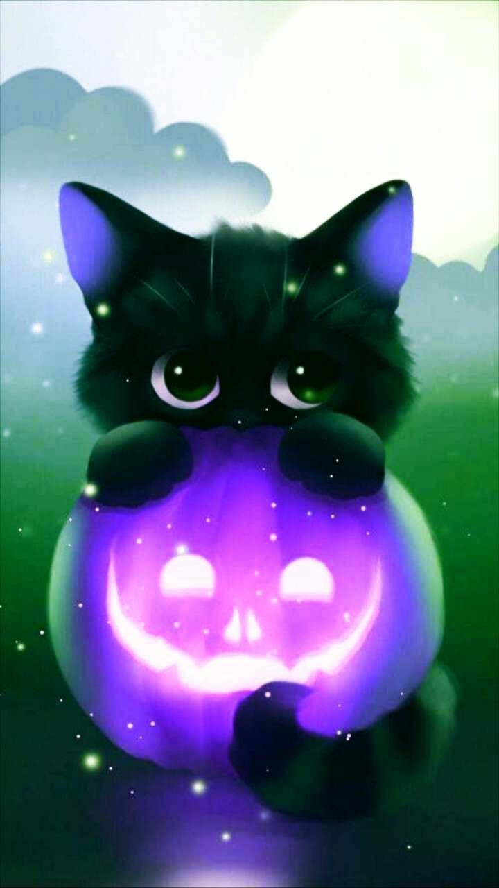 котёнок