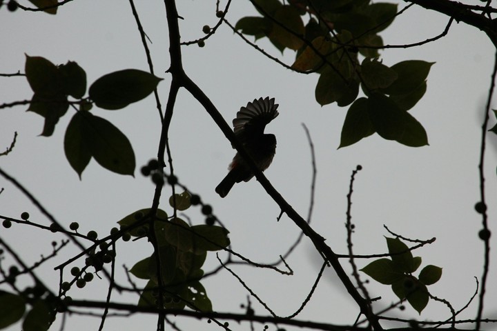 beauty of nature.
