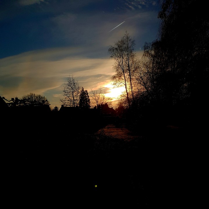 Morning sun in Holland