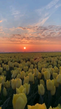 The Most Beautiful Sunrise♥️