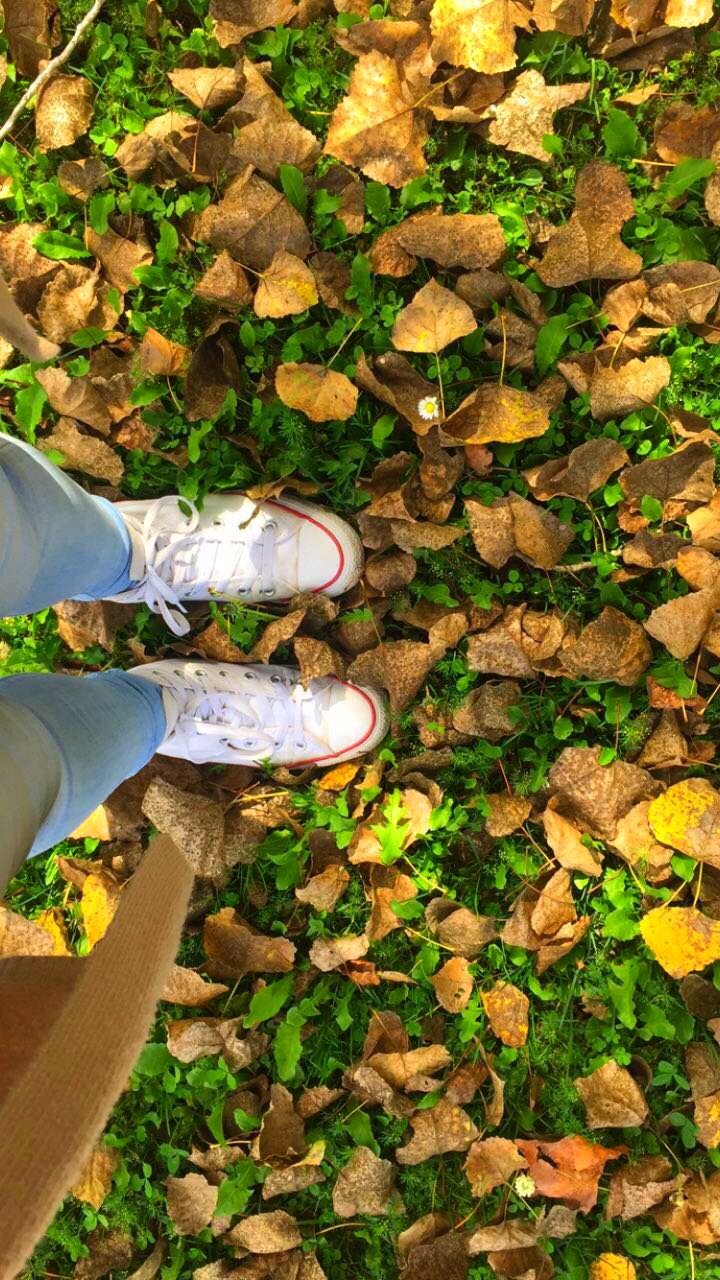 autumn