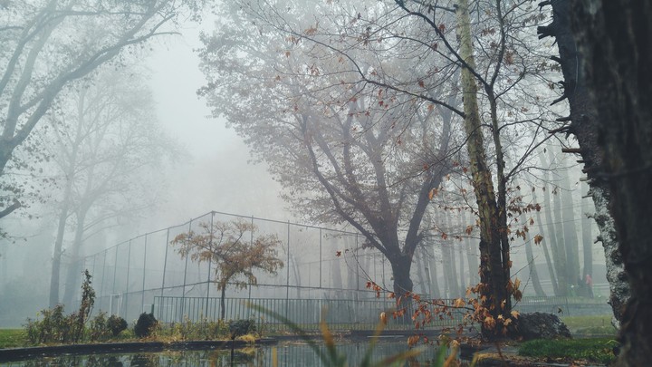 Dense Fog in High School
