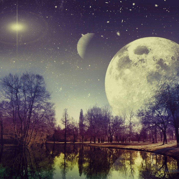 Moonlight Magic