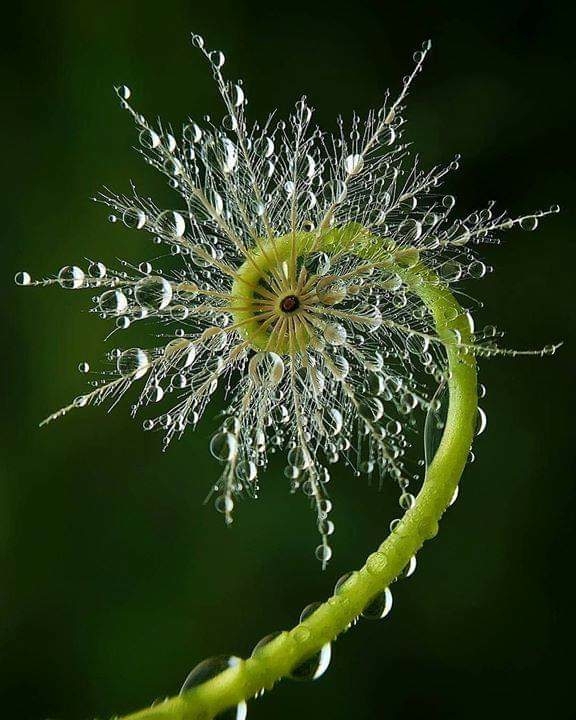 Amazing nature