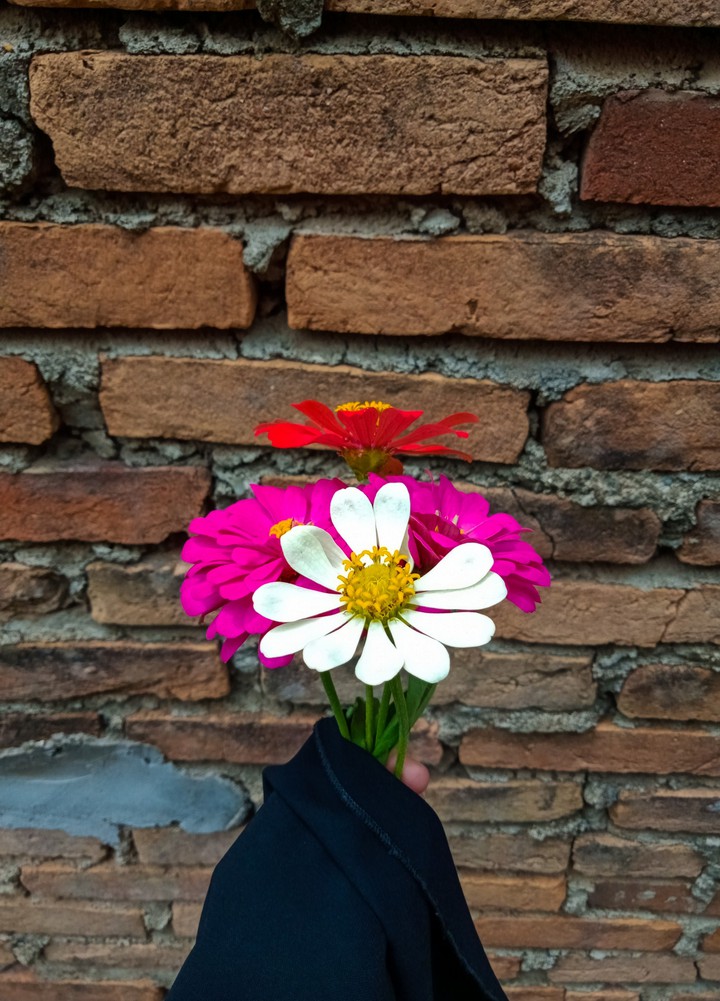wild flower