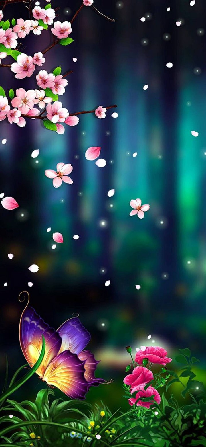 butterfly ?