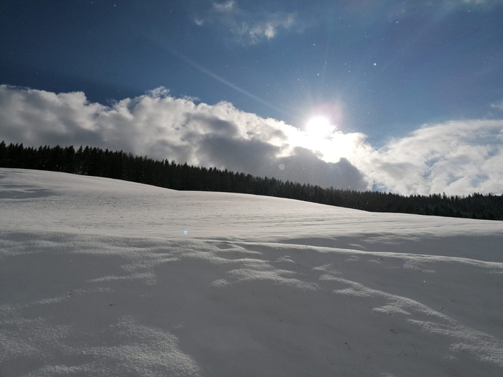Winterwonderland