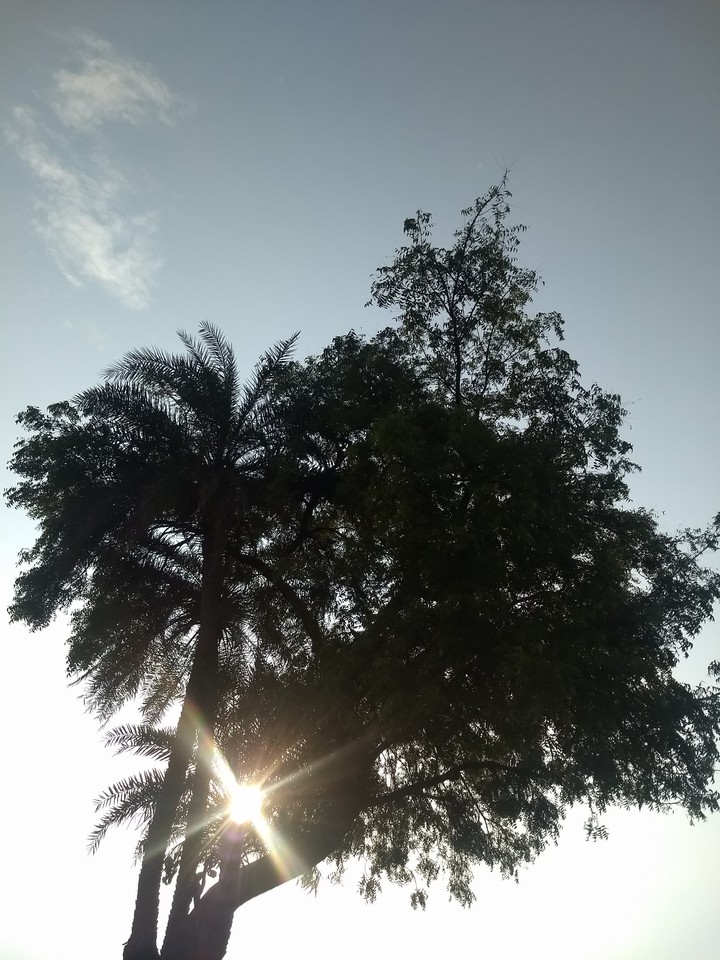 Evening...