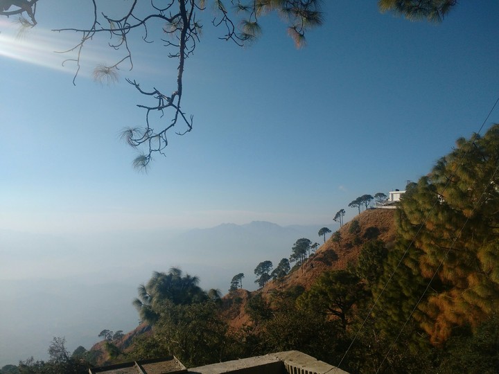 nature