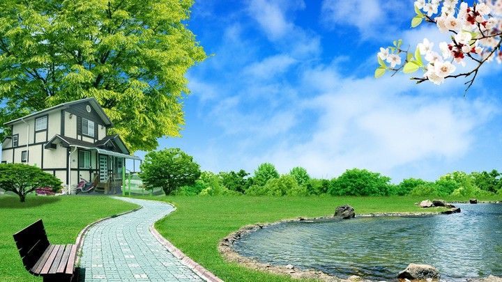 Dream house