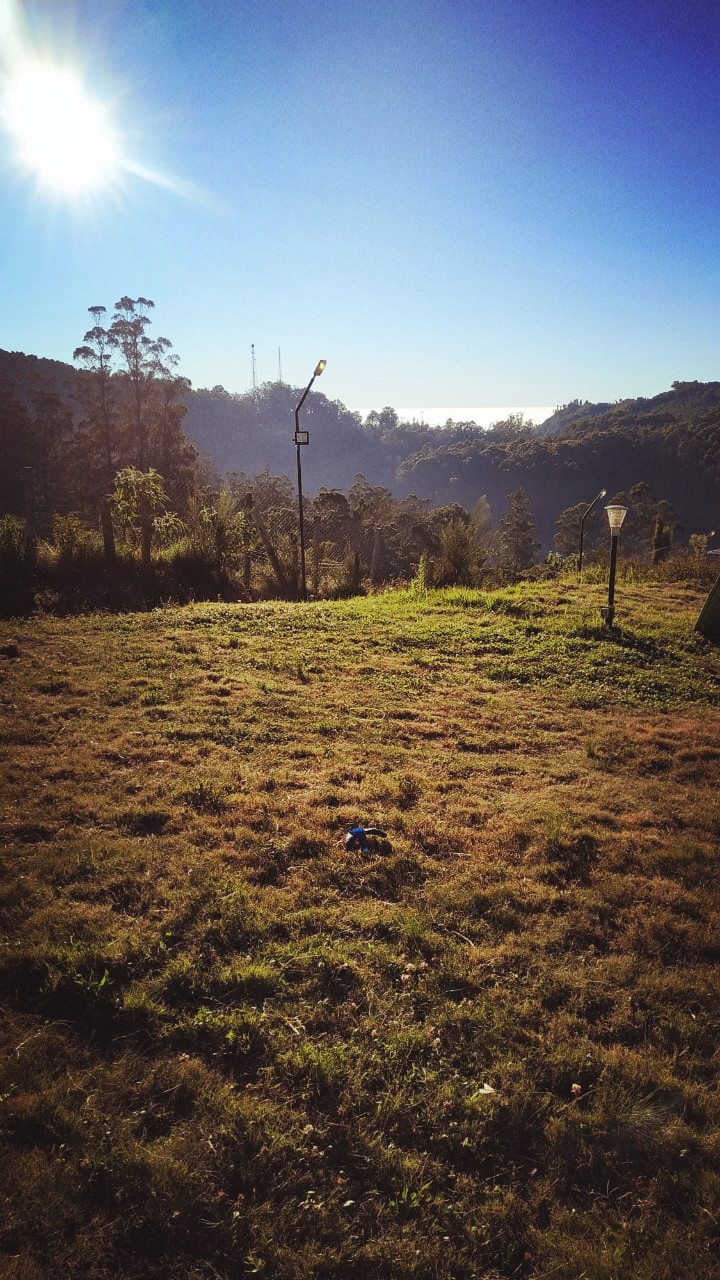Ooty diaries