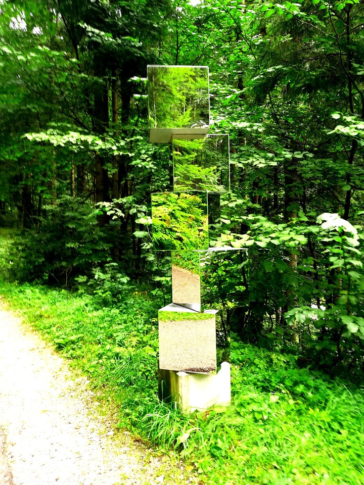 Mirror in the natur