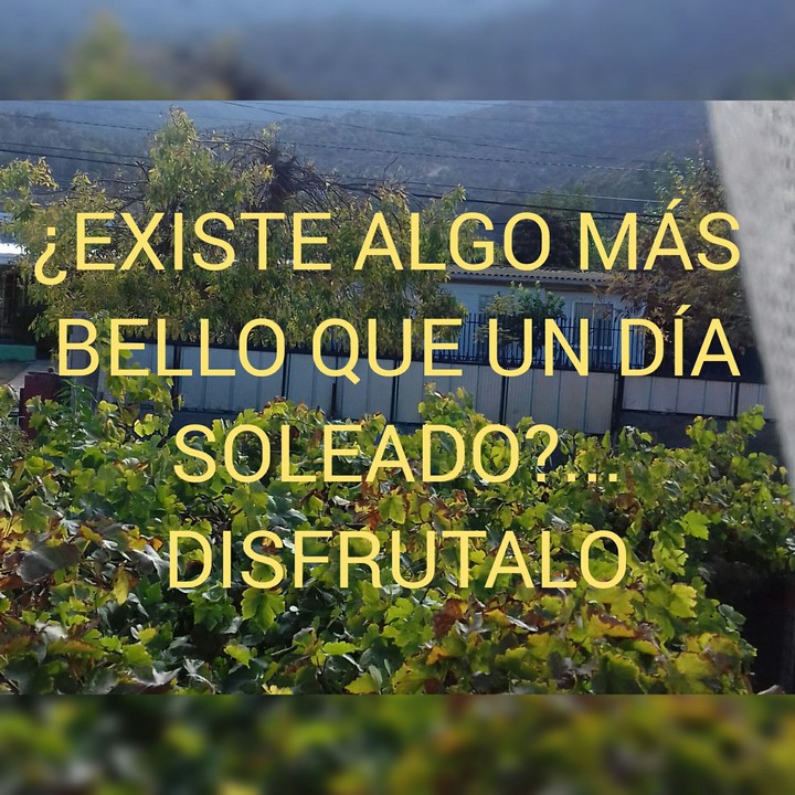reflexiones