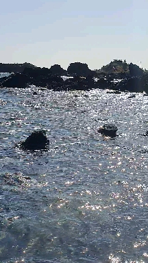 파도