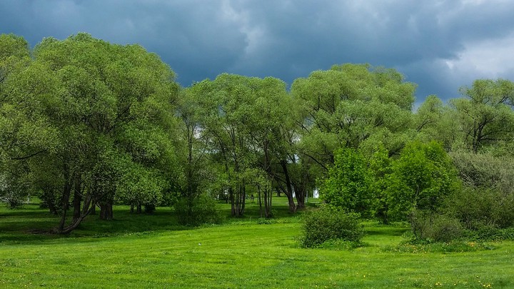 thunder