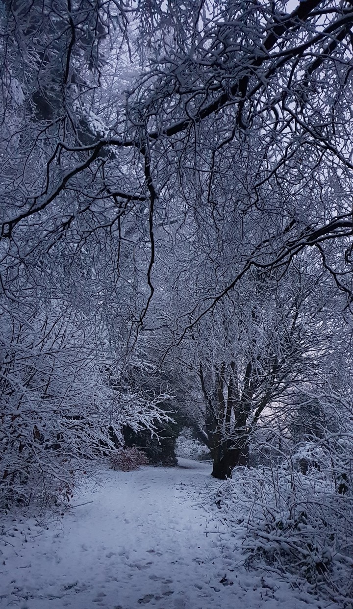 Snowy path