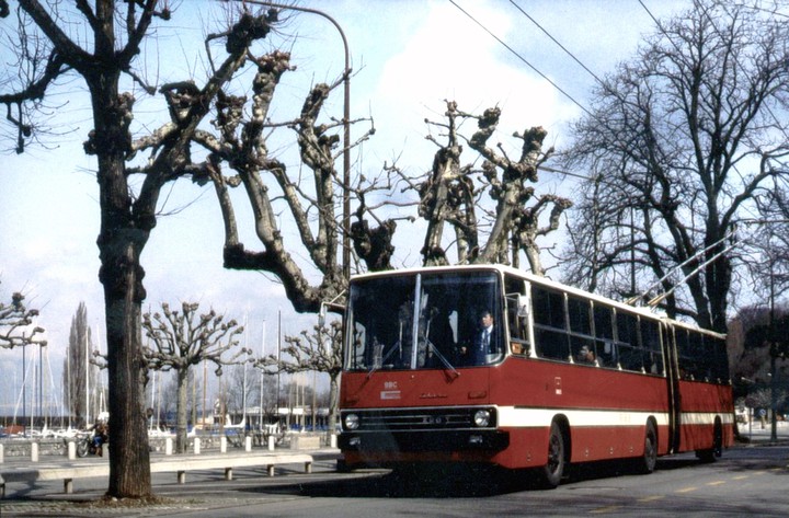 ikarus