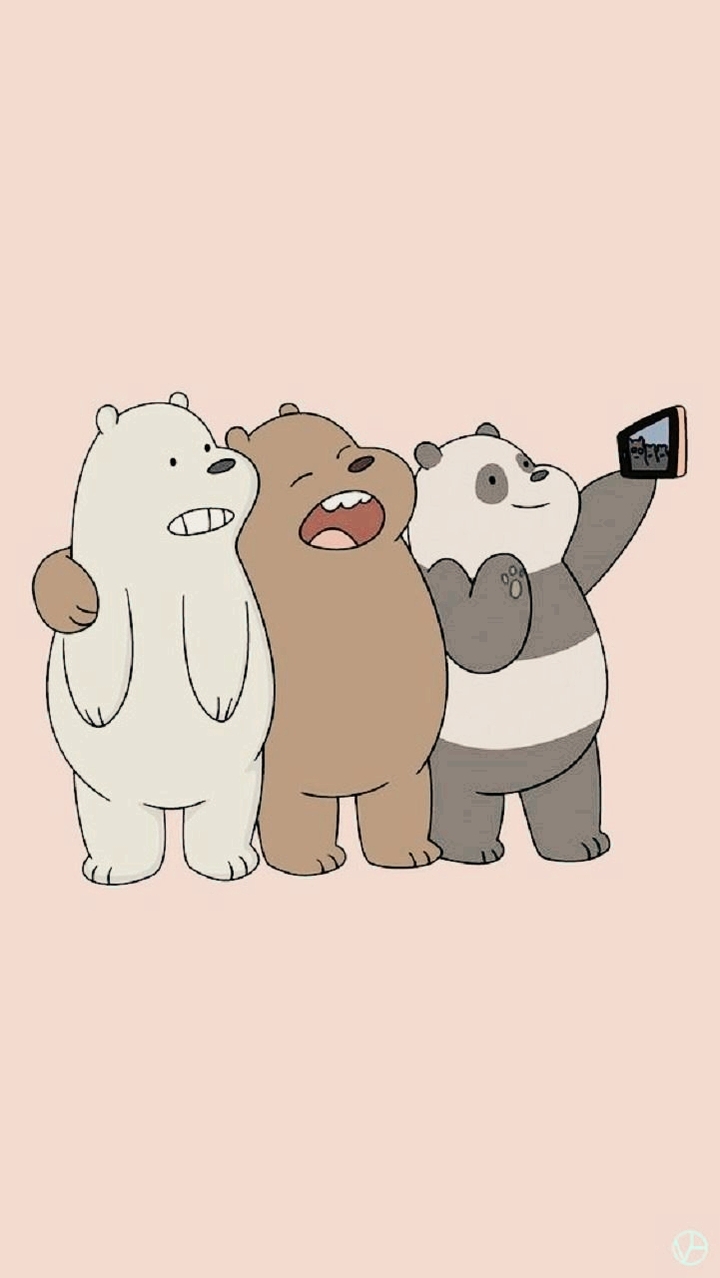Bears