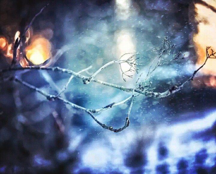 Bluish snoe