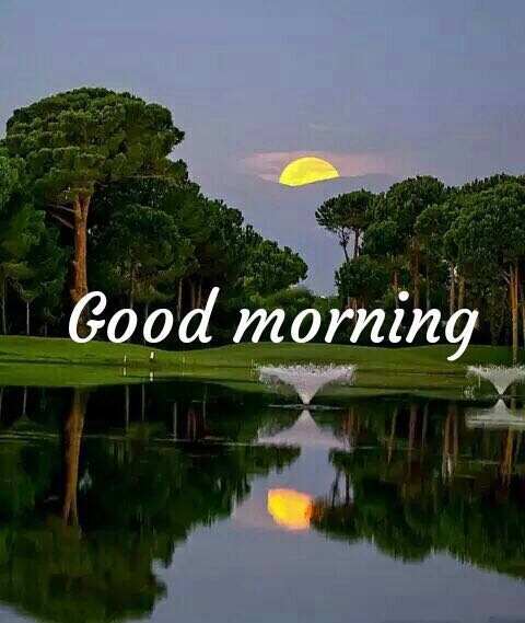 morning morning